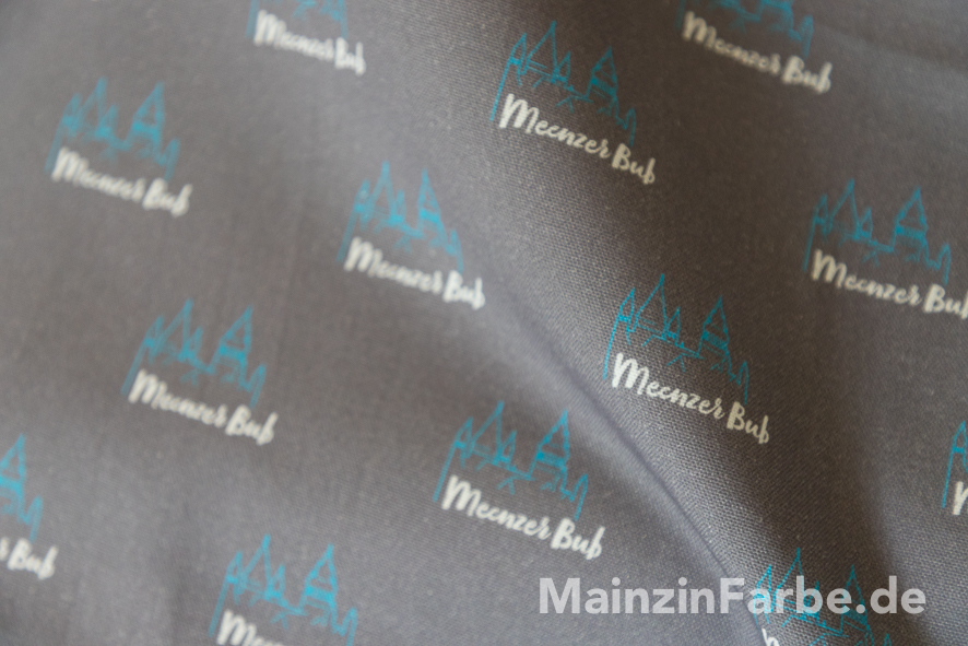 Mainz Stoff, Halbpanama, "Meenzer Bub", Dom, grau-hellblau (0,5 m) 